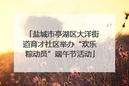盐城市亭湖区大洋街道育才社区举办“欢乐粽动员”端午节活动