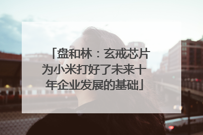 盘和林：玄戒芯片为小米打好了未来十年企业发展的基础