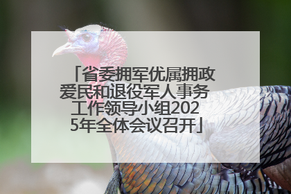 省委拥军优属拥政爱民和退役军人事务工作领导小组2025年全体会议召开
