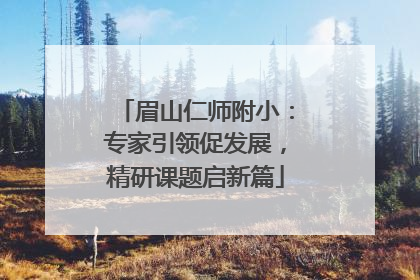 眉山仁师附小：专家引领促发展，精研课题启新篇