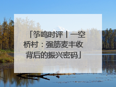 筝鸣时评丨一空桥村：强筋麦丰收背后的振兴密码