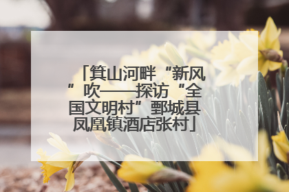 箕山河畔“新风”吹——探访“全国文明村”鄄城县凤凰镇酒店张村