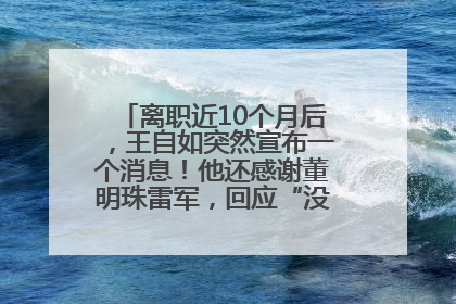 离职近10个月后，王自如突然宣布一个消息！他还感谢董明珠雷军，回应“没看过格力工资条”：真的不那么重要！