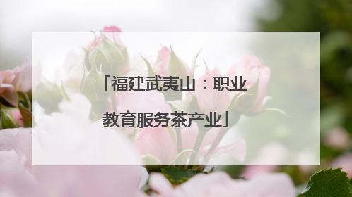 福建武夷山：职业教育服务茶产业