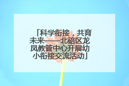 科学衔接，共育未来——北碚区龙凤教管中心开展幼小衔接交流活动