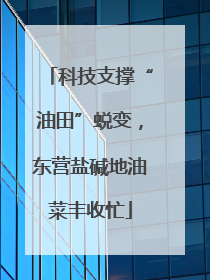 科技支撑“油田”蜕变，东营盐碱地油菜丰收忙