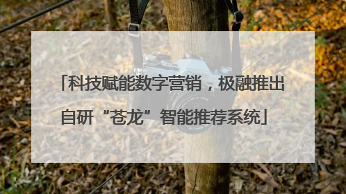 科技赋能数字营销，极融推出自研“苍龙”智能推荐系统