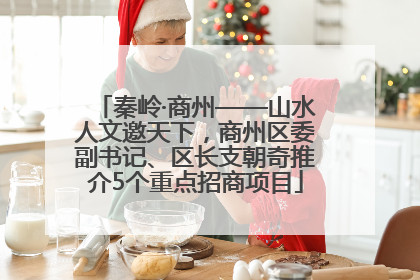 秦岭·商州——山水人文邀天下，商州区委副书记、区长支朝奇推介5个重点招商项目