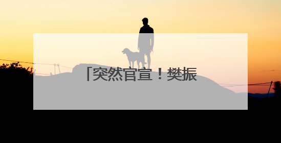突然官宣！樊振东加盟德甲联赛