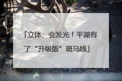 立体、会发光！平湖有了“升级版”斑马线