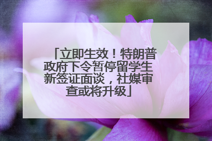 立即生效！特朗普政府下令暂停留学生新签证面谈，社媒审查或将升级