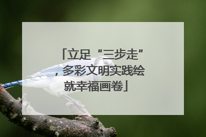 立足“三步走”，多彩文明实践绘就幸福画卷