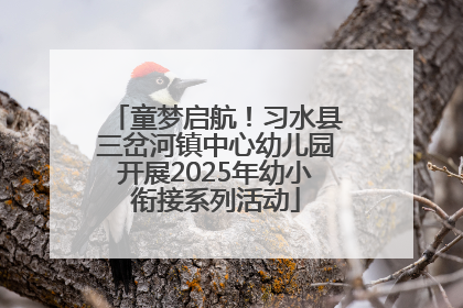 童梦启航！习水县三岔河镇中心幼儿园开展2025年幼小衔接系列活动