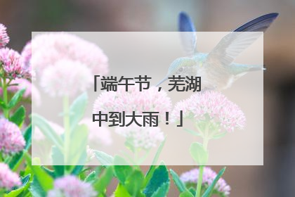 端午节，芜湖中到大雨！
