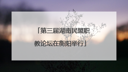 第三届湖南民盟职教论坛在衡阳举行