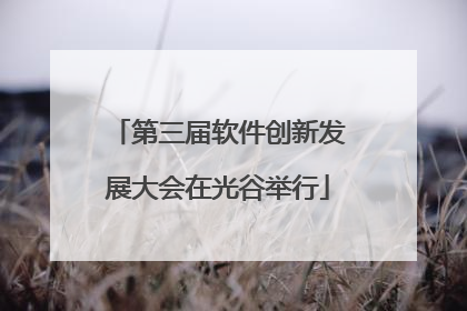 第三届软件创新发展大会在光谷举行