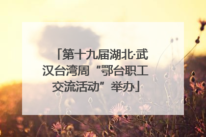 第十九届湖北·武汉台湾周“鄂台职工交流活动”举办