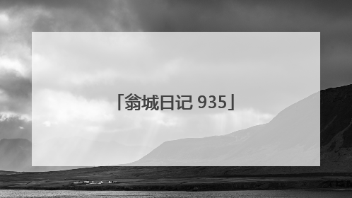 翁城日记 935