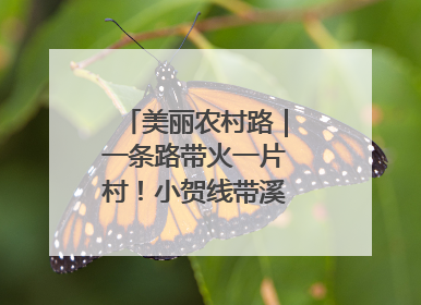美丽农村路｜一条路带火一片村！小贺线带溪望谷成团出道