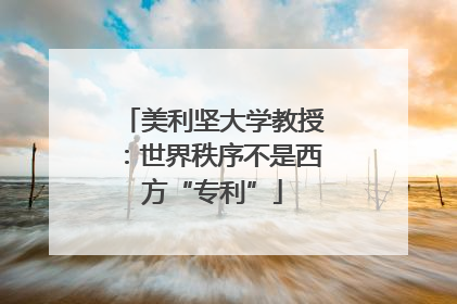 美利坚大学教授：世界秩序不是西方“专利”
