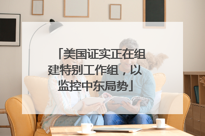 美国证实正在组建特别工作组，以监控中东局势