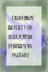 粽叶飘香凝共识！淳安县大墅镇开展端午特色活动