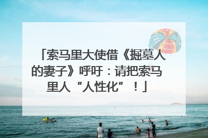 索马里大使借《掘墓人的妻子》呼吁：请把索马里人“人性化”！