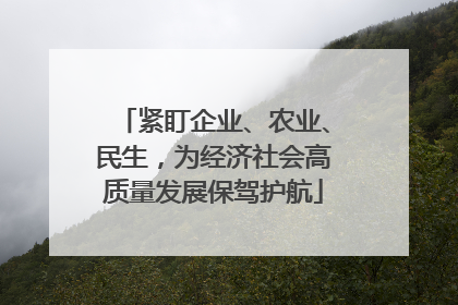 紧盯企业、农业、民生,为经济社会高质量发展保驾护航
