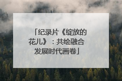 纪录片《绽放的花儿》：共绘融合发展时代画卷