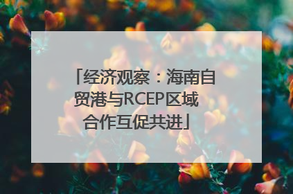 经济观察：海南自贸港与RCEP区域合作互促共进