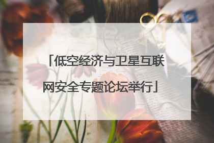 低空经济与卫星互联网安全专题论坛举行