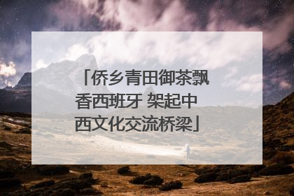 侨乡青田御茶飘香西班牙 架起中西文化交流桥梁