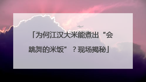 为何江汉大米能煮出“会跳舞的米饭”？现场揭秘