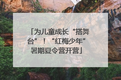 为儿童成长“搭舞台”！“红梅少年”暑期夏令营开营