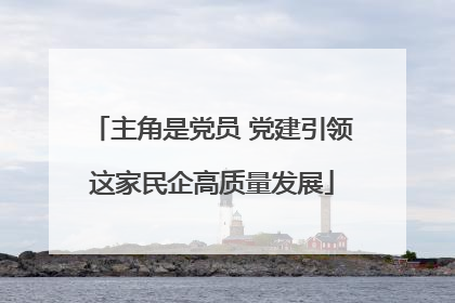 主角是党员 党建引领这家民企高质量发展