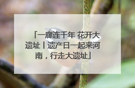 一廊连千年 花开大遗址丨遗产日一起来河南，行走大遗址