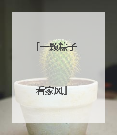 一颗粽子看家风