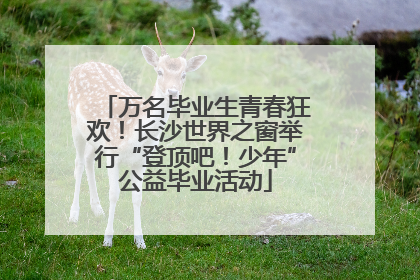 万名毕业生青春狂欢！长沙世界之窗举行“登顶吧！少年”公益毕业活动