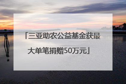 三亚助农公益基金获最大单笔捐赠50万元
