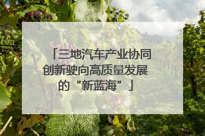 三地汽车产业协同创新驶向高质量发展的“新蓝海”
