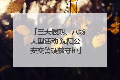 三天假期、八场大型活动 沈阳公安交警硬核守护