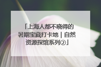 上海人都不晓得的 暑期宝藏打卡地｜自然资源探馆系列②