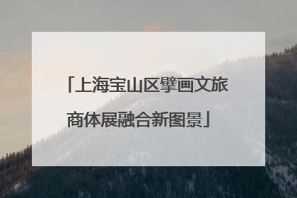 上海宝山区擘画文旅商体展融合新图景