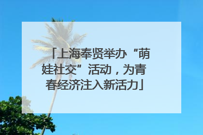 上海奉贤举办“萌娃社交”活动，为青春经济注入新活力
