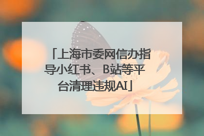 上海市委网信办指导小红书、B站等平台清理违规AI