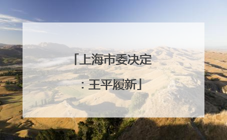 上海市委决定：王平履新