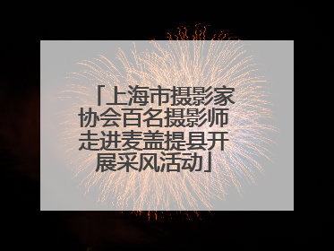 上海市摄影家协会百名摄影师走进麦盖提县开展采风活动