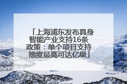 上海浦东发布具身智能产业支持16条政策：单个项目支持额度最高可达亿级