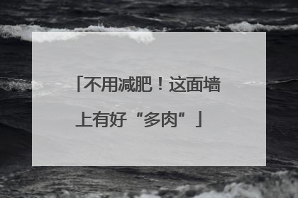 不用减肥！这面墙上有好“多肉”