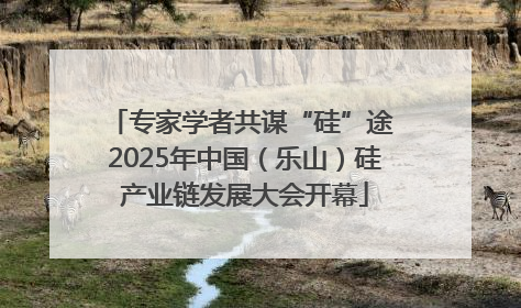 专家学者共谋“硅”途 2025年中国（乐山）硅产业链发展大会开幕